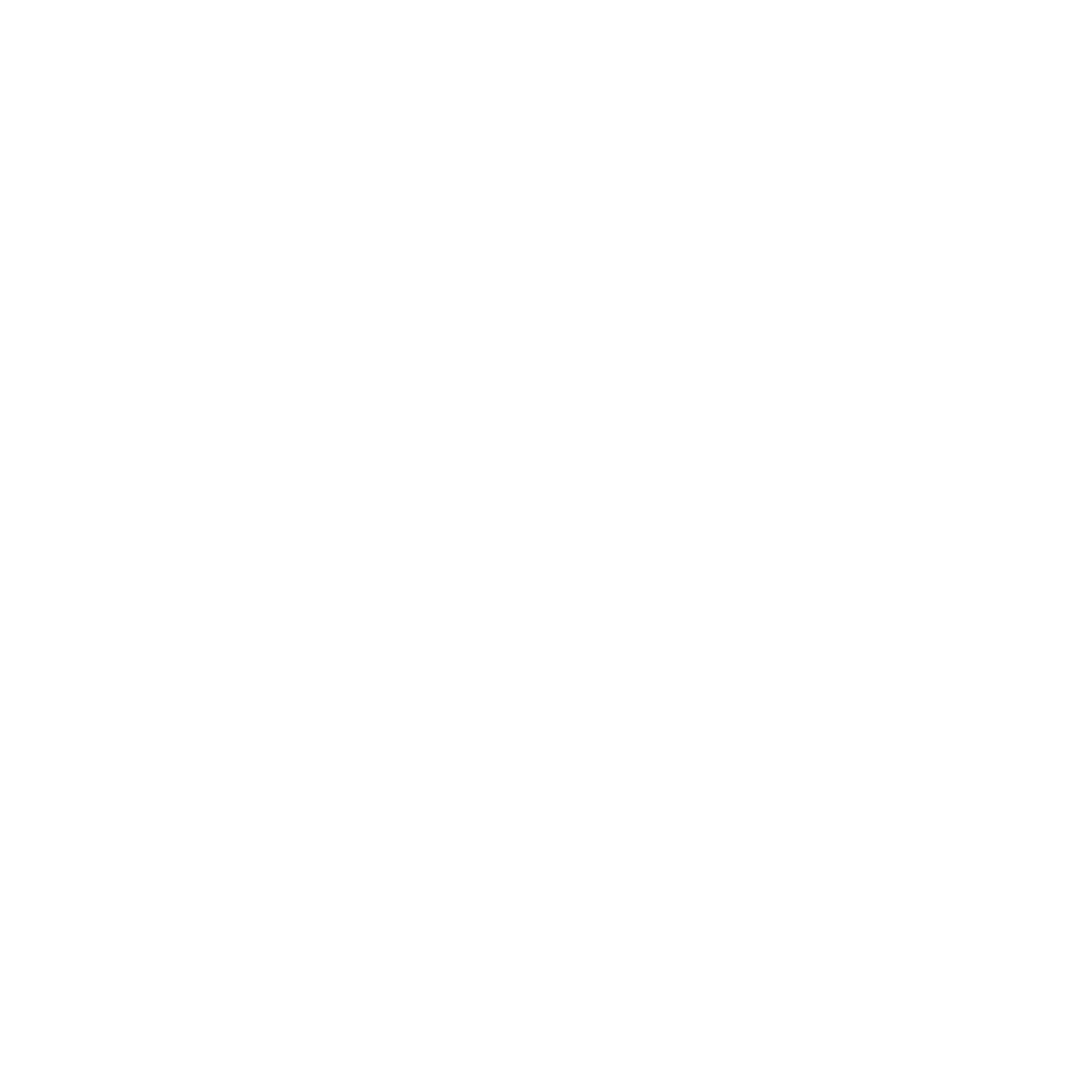 What CEOs talked about white-01