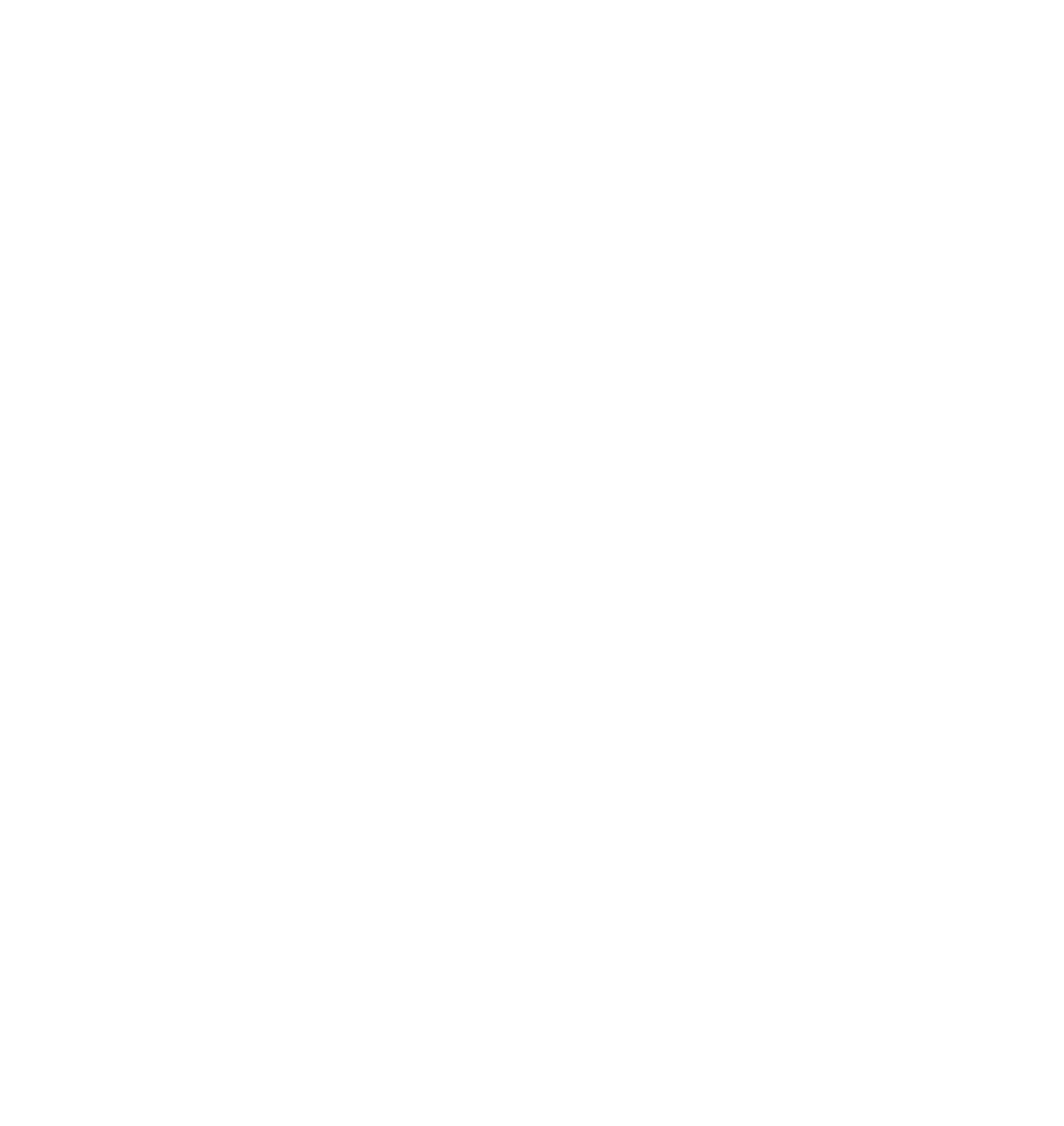 AI white icon.png
