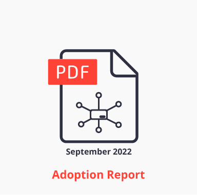 2022 IoT Communication Protocols Adoption Report - Product Icon